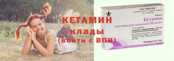 молекула духа Ельня