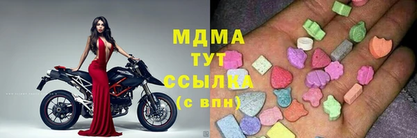 молекула духа Ельня