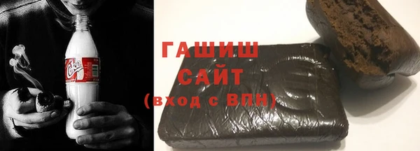 молекула духа Ельня
