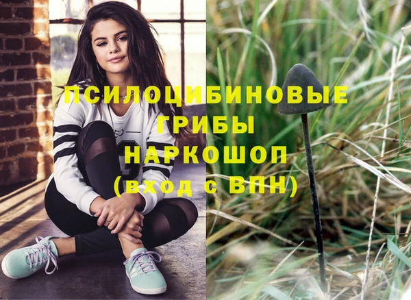 бутират Дмитриев