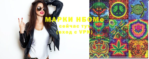 молекула духа Ельня